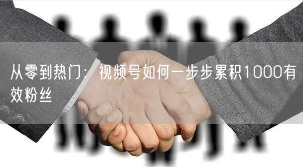 从零到热门：视频号如何一步步累积1000有效粉丝