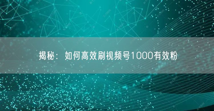 揭秘：如何高效刷视频号1000有效粉