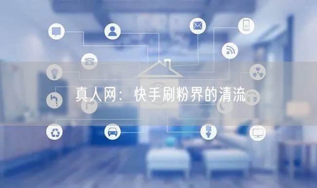 真人网：快手刷粉界的清流