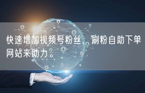 快速增加视频号粉丝，刷粉自助下单网站来助力。