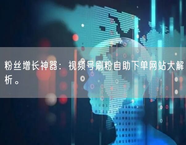 粉丝增长神器：视频号刷粉自助下单网站大解析。