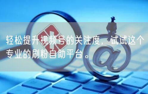 轻松提升视频号的关注度，试试这个专业的刷粉自助平台。