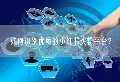 如何识别优质的小红书买粉平台？