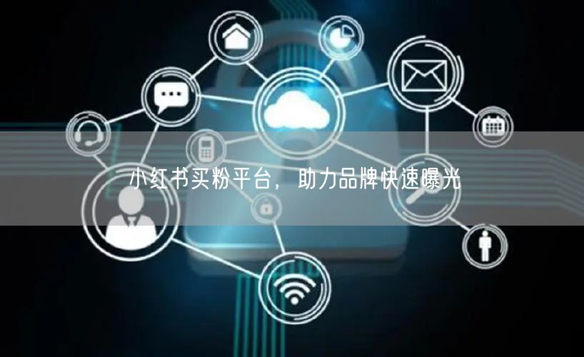 小红书买粉平台，助力品牌快速曝光