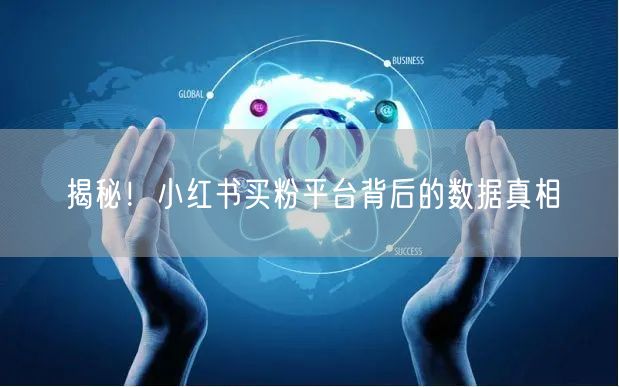 揭秘！小红书买粉平台背后的数据真相
