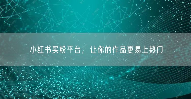 小红书买粉平台，让你的作品更易上热门