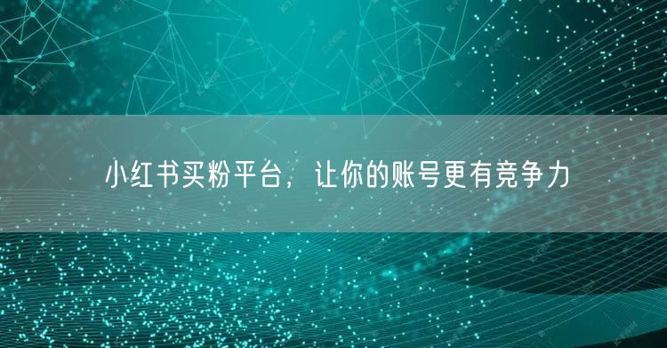 小红书买粉平台，让你的账号更有竞争力