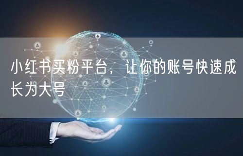 小红书买粉平台，让你的账号快速成长为大号